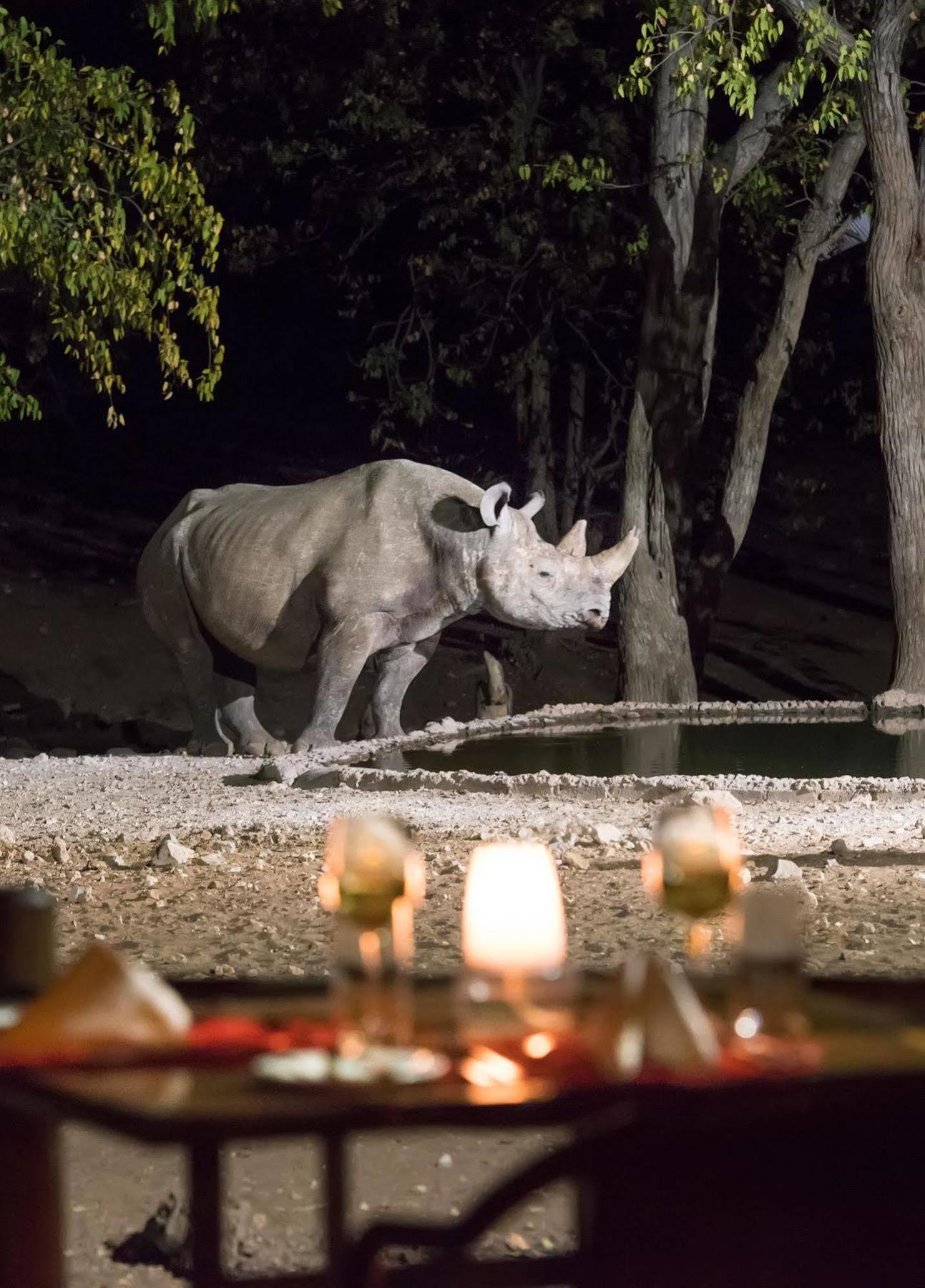 Ongava Tented Camp - All-Inclusive أوكاوكويجو المظهر الخارجي الصورة