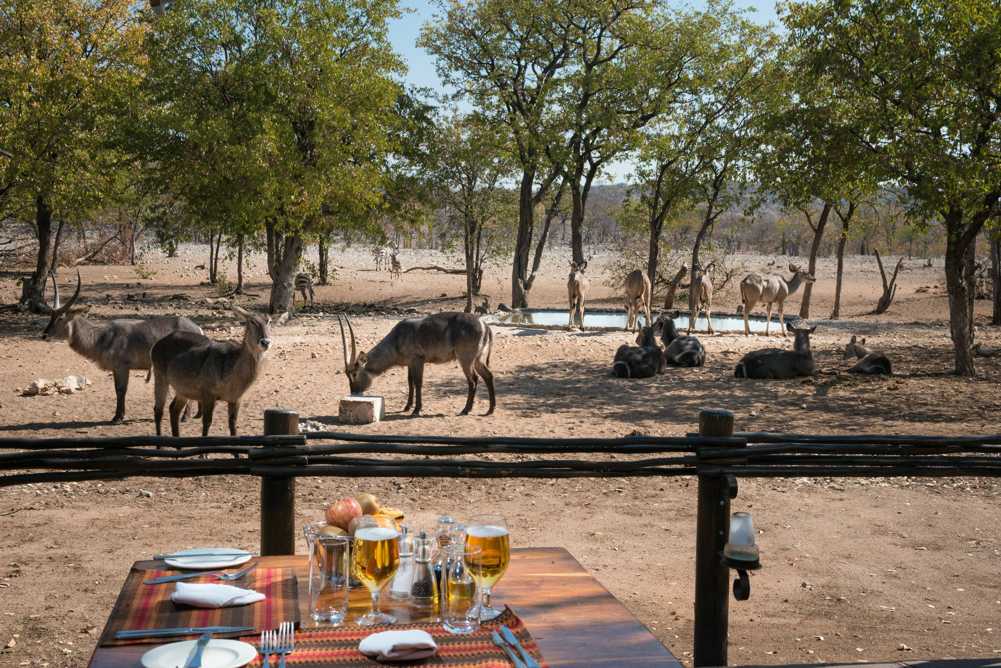 Ongava Tented Camp - All-Inclusive أوكاوكويجو المظهر الخارجي الصورة